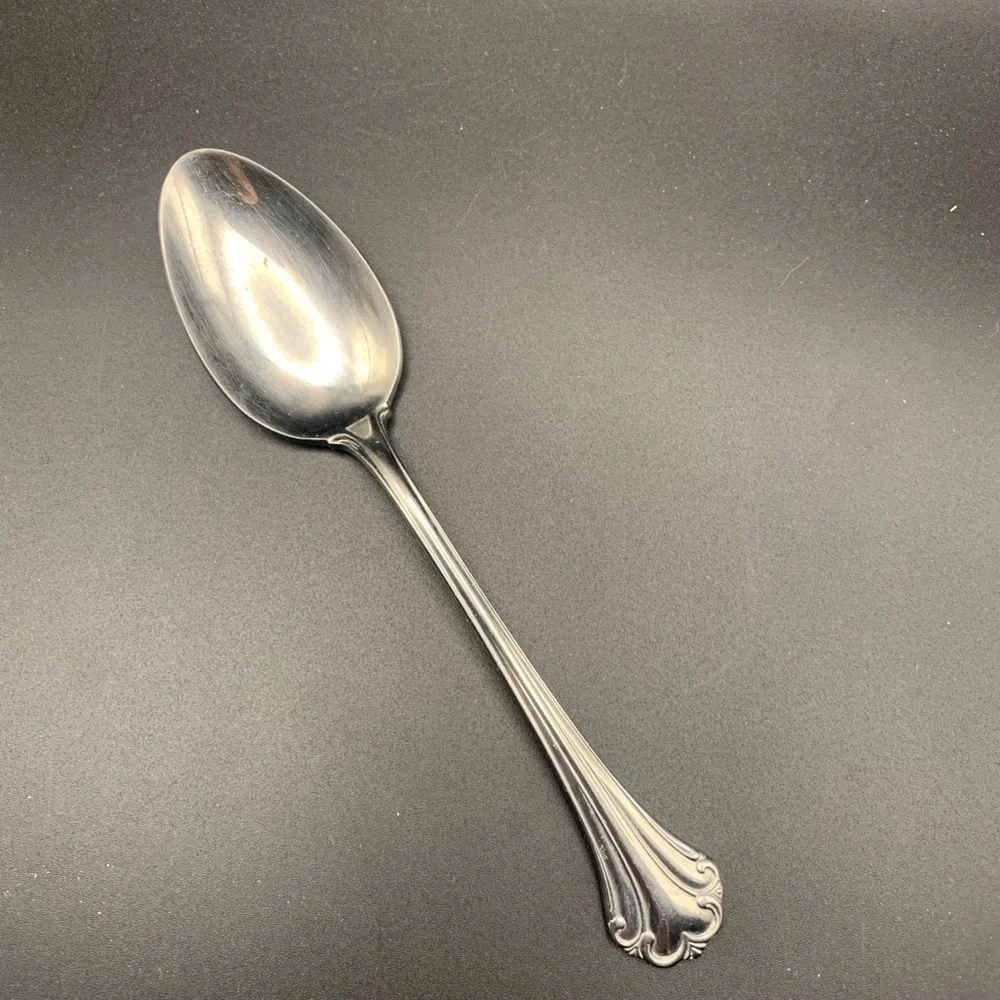 Vintage Reed & Barton Regine Stainless 18/8 Glossy Spoon Silverware Korea